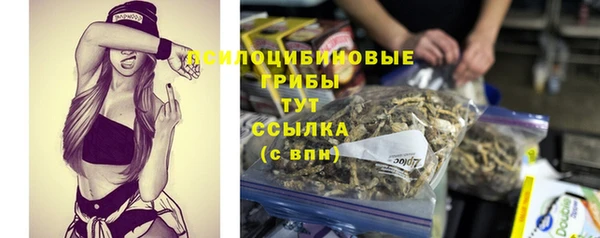 гидра Михайловка
