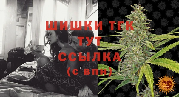 гидра Михайловка
