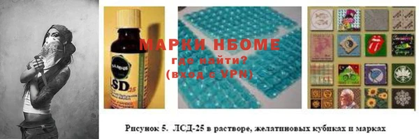 индика Михайлов
