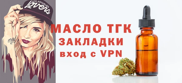 индика Михайлов