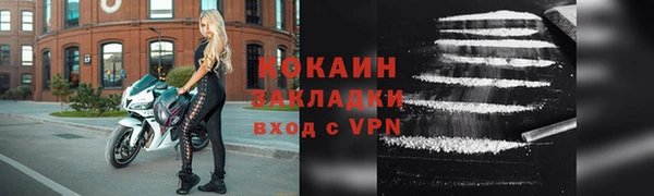 гидра Михайловка