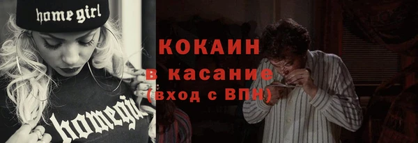 гидра Михайловка
