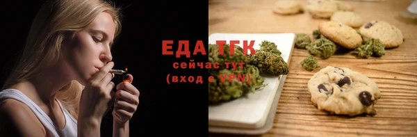 индика Михайлов