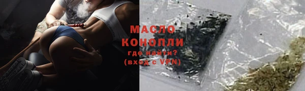 гидра Михайловка