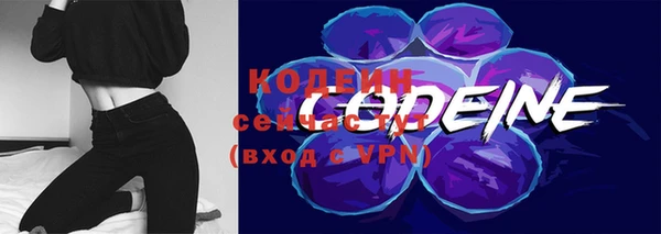 индика Михайлов
