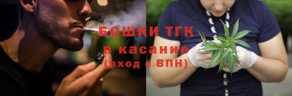 индика Михайлов