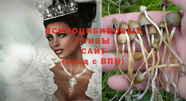 гидра Михайловка