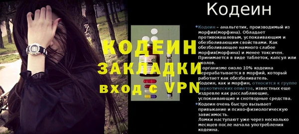 гидра Михайловка