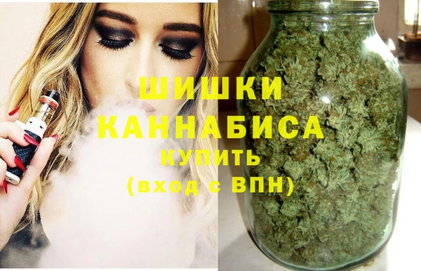 гидра Михайловка