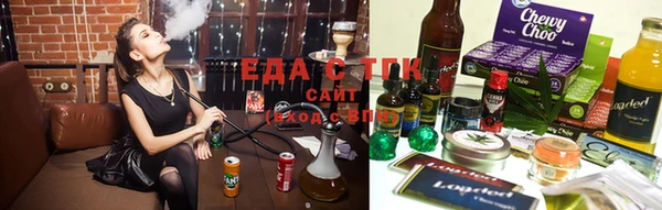 гидра Михайловка